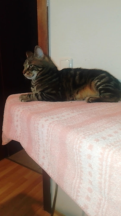 Dr. Ute Rohde Rechtsanwältin