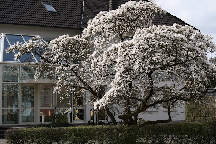 BOHNENKAMP RECHTSANWÄLTE NOTARE