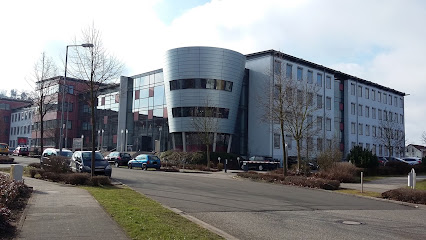 Rechtsanwalt German Law Office Dirk Polishuk