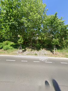 Rechtsanwalt Christian Marnitz - Verkehrsrechtsexperte und Fachanwalt für Verkehrsrecht
