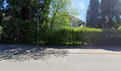 Wallauer-Friedrich, Löwe Partnerschaft mbB