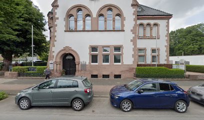 Vosgröne-Starting-Stammeijer-Rademacher-Pillich