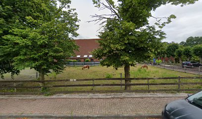 Renate Dittrich