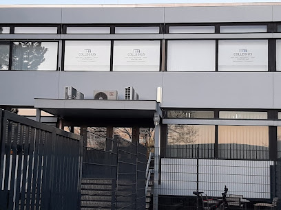 Collegius Rohlfing Weisensee Oettler Rückemann-Bock PartmbB - Einbeck