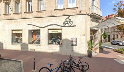 Mona Abdel Hamid Rechtsanwältin