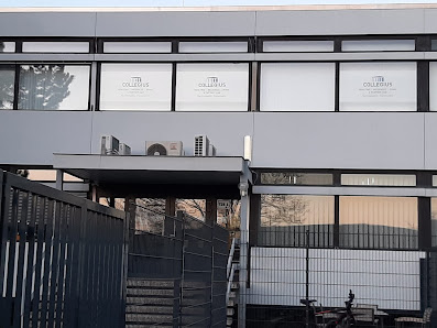 Collegius Rohlfing Weisensee Oettler Rückemann-Bock PartmbB - Einbeck