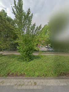 Sabine Kintea Rechtsanwältin und Notarin