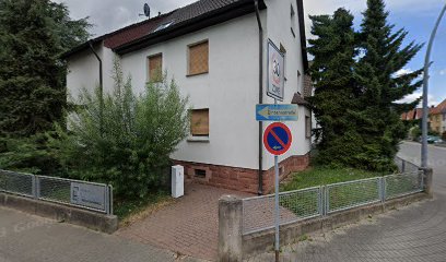 Sascha Lauinger, Rechtsgebiete: Sozialrecht, Arbeitsrecht und Zivilrecht