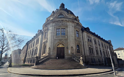 Rechtsanwältin Julia Müller