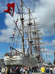 Petra Stelljes