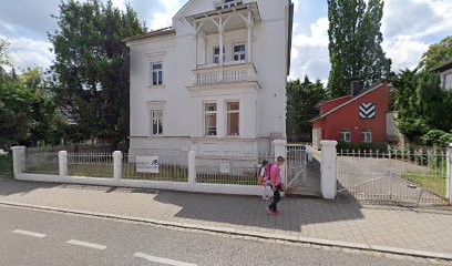 Baumann Stephan