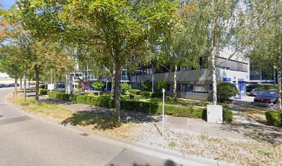 Dr. Trautmann, Seegy, Heinze-Briesemeister, Zech Rechtsanwälte Partnerschaft