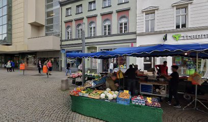 KANZLEI STEPHAN - Spandau Rechtsanwälte Fachanwalt Verkehrsrecht Arbeitsrecht