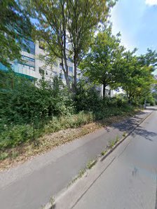 Haas und Kollegen GmbH - Rechtsanwälte & Steuerberater