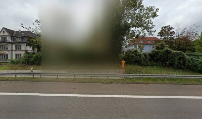 rt-strafverteidiger