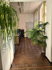 Rodi Philipp, Rechtsanwalt