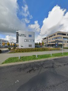 Hollender Lampe Lampe Rechtsanwälte