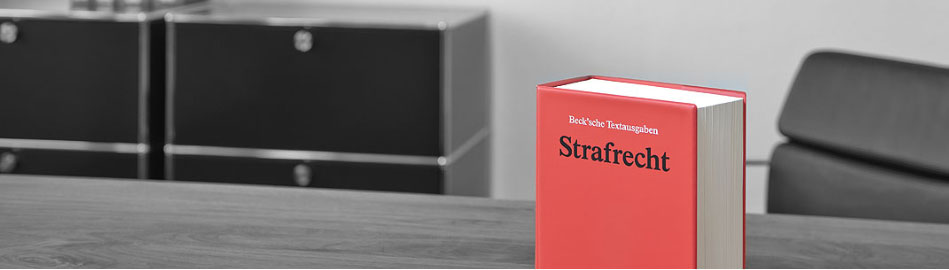 Strafverteidiger Dr. Böttner - Rechtsanwalt und Fachanwalt für Strafrecht (Neumünster)