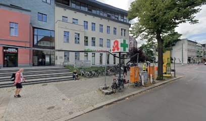 Marcus Borgolte, Rechtsanwalt