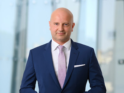 Dr. Daniel Meppen Anwalt Baurecht Hamburg